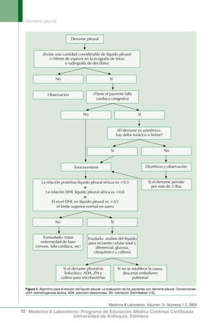 Derrame pleural
22
Medicina & Laboratorio, Volumen 15, Números 1-2, 2009
Medicina & Laboratorio: Programa de Educación Médica Contínua Certificada
Universidad de Antioquia, Edimeco
Derrame pleural
¿Tiene el paciente falla
cardiaca congestiva
Observación
No
Sí
Sí
Sí
Toracocentesis Diuréticos y observación
Si el derrame persiste
por más de 3 días
Si el derrame pleural es
linfocítico: ADA, ZN y
cultivo para micobacterias
Si no se establece la causa,
descartar embolismo
pulmonar
La relación proteínas líquido pleural séricas es >0,5
o
La relación DHL líquido pleural sérica es >0,6
o
El nivel DHL en líquido pleural es >2/3
el límite superior normal en suero
No
No
No
Transudado: tratar
enfermedad de base
(cirrosis, falla cardiaca, etc)
Exudado: análisis del líquido
para recuento celular total y
diferencial, glucosa,
citoquímico y cultivos
Sí
¿El derrame es asimétrico,
hay dolor torácico o fiebre?
¿Existe una cantidad considerable de líquido pleural
(>10mm de espesor en la ecografía de tórax
o radiografía de decúbito)
Figura 5. Algoritmo para el estudio del líquido pleural. La evaluación de los pacientes con derrame pleural. Convenciones:
LDH: deshidrogenosa láctica; ADA: adenosin-desaminasa: ZN: coloración Ziehl-Nielsen [13].
 