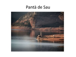 Pantà de Sau
 