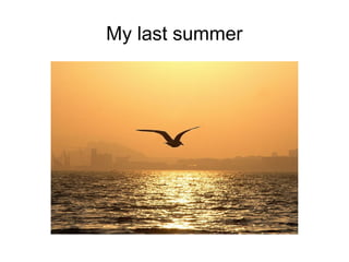 My last summer

 