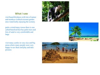 What i saw
visit beautiful places with lots of nature
and monkeys walked coconut garden
area viand really enjoying the scenery.
parks visited many towns there is one
called barefood feet has palm trees and
lots of sand is very comfortable and
large
visit many castles in very nice and big
arena where many people were very
happy to see them and play and take
pictures
 