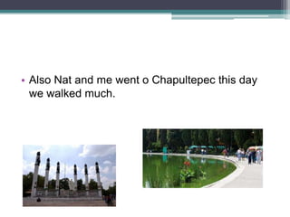 • Also Nat and me went o Chapultepec this day
we walked much.

 