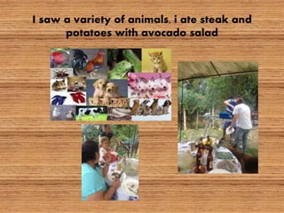 I saw a variety of animals, i ate steak and
potatoes with avocado salad
 