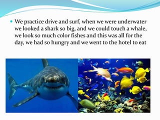  We practice drive and surf, when we were underwater
we looked a shark so big, and we could touch a whale,
we look so much color fishes and this was all for the
day, we had so hungry and we went to the hotel to eat
 