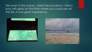 We swan in the ocean, visted the acuarium, I ride a
boa with glass on the floor where you could see all
the fish, it was great experience.
 