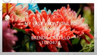 MY LAST VACATIONS TO
IBAGUE
BRENDA CASTILLO
1020474
 