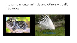 I saw many cute animals and others who did
not know
 