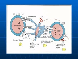 ATOPY | PPS