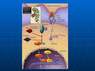 ATOPY | PPS