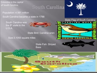 Columbia is the capital of South Carolina. State Flag of South Carolina Population: 4.561 million State Bird: Carolina wren South Carolina became a state in 1788 South Carolina was the 8 th  state in the U.S.A. Size:3,1055 square miles State Fish: Striped Bass 