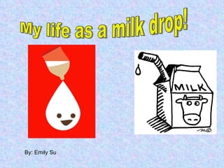 My life as a milk drop! By: Emily Su 