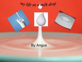 By Angus my life as a milk drop 