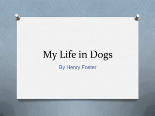 My Life in Dogs
   By Henry Foster
 