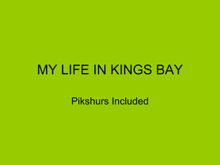 MY LIFE IN KINGS BAY Pikshurs Included 