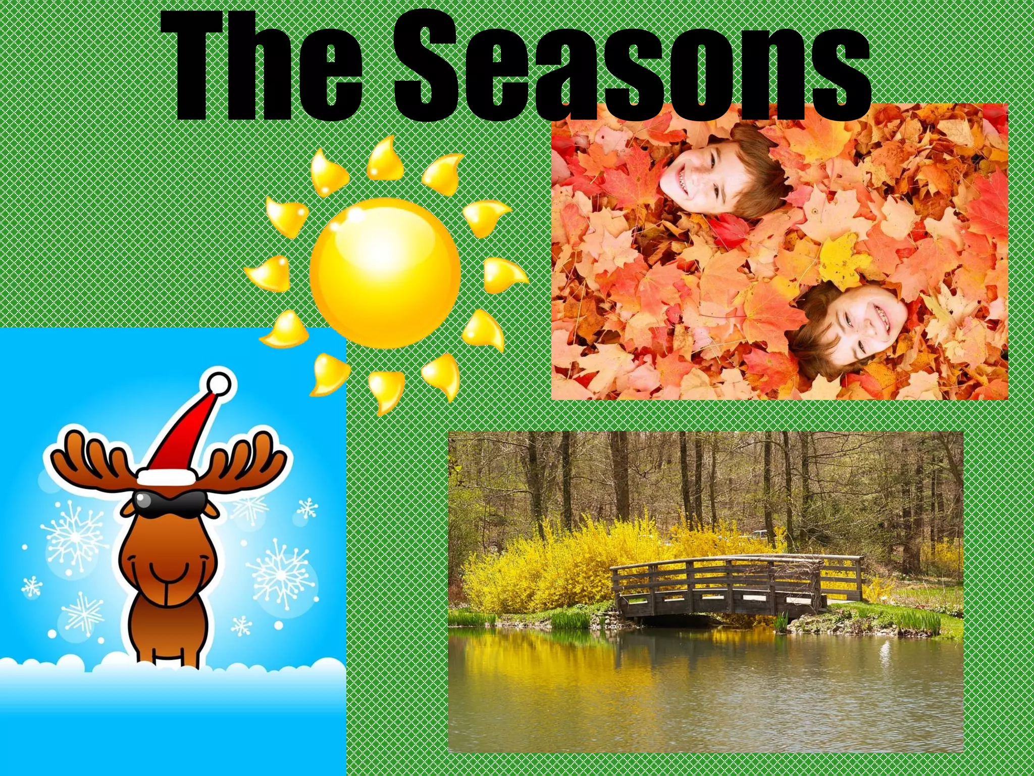 The Seasons 