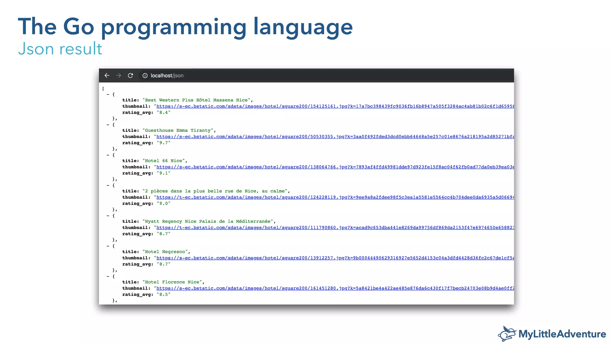 The Go programming language - Intro by MyLittleAdventure | PPT