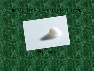  My live as a milk drop  By Jonah 