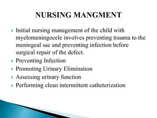  Initial nursing management of the child with
myelomeningocele involves preventing trauma to the
meningeal sac and preventing infection before
surgical repair of the defect.
 Preventing Infection
 Promoting Urinary Elimination
 Assessing urinary function
 Performing clean intermittent catheterization
 