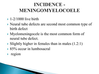  1-2/1000 live birth
 Neural tube defects are second most common type of
birth defect
 Myelomeningocele is the most common form of
neural tube defect.
 Slightly higher in females than in males (1.2:1)
 85% occur in lumbosacral
 region
 