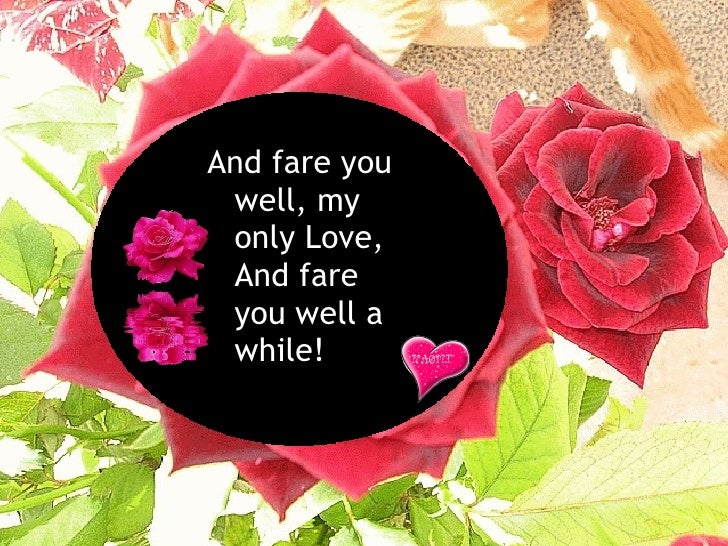 My Love Is Like A Red Red Rose Noemi