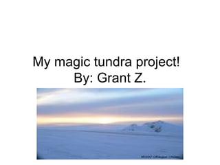 My magic tundra project!  By: Grant Z. 