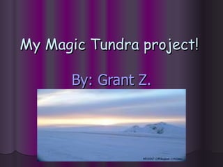 My Magic Tundra project!   By: Grant Z. 