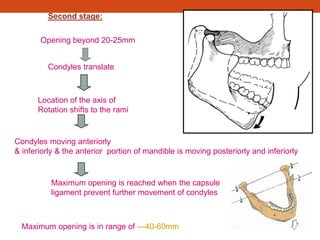 Second stage:
Opening beyond 20-25mm
Condyles translate
Location of the axis of
Rotation shifts to the rami
Condyles moving anteriorly
& inferiorly & the anterior portion of mandible is moving posteriorly and inferiorly
Maximum opening is reached when the capsule
ligament prevent further movement of condyles
Maximum opening is in range of ---40-60mm
 