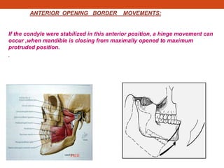 ANTERIOR OPENING BORDER MOVEMENTS:
If the condyle were stabilized in this anterior position, a hinge movement can
occur ,when mandible is closing from maximally opened to maximum
protruded position.
.
.
 