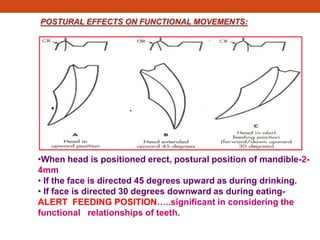 POSTURAL EFFECTS ON FUNCTIONAL MOVEMENTS:
•When head is positioned erect, postural position of mandible-2-
4mm
• If the face is directed 45 degrees upward as during drinking.
• If face is directed 30 degrees downward as during eating-
ALERT FEEDING POSITION…..significant in considering the
functional relationships of teeth.
 