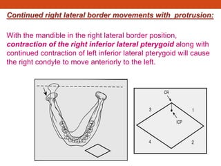 Continued right lateral border movements with protrusion:
With the mandible in the right lateral border position,
contraction of the right inferior lateral pterygoid along with
continued contraction of left inferior lateral pterygoid will cause
the right condyle to move anteriorly to the left.
 