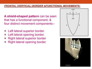 FRONTAL (VERTICAL) BORDER &FUNCTIONAL MOVEMENTS:
A shield-shaped pattern can be seen
that has a functional component, &
four distinct movement components:-
Left lateral superior border.
Left lateral opening border.
Right lateral superior border
Right lateral opening border
 