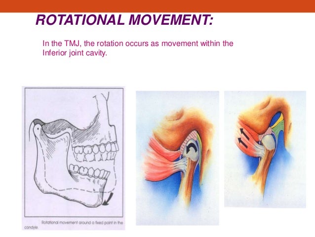 My mandibular movement final presentation