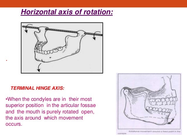 My mandibular movement final presentation