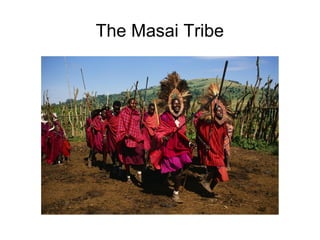 The Masai Tribe

 