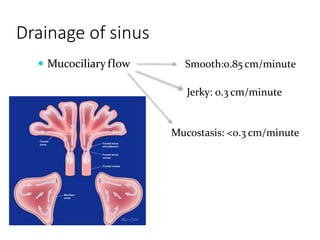 Drainage of sinus
 Mucociliary flow Smooth:0.85 cm/minute
Jerky: 0.3 cm/minute
Mucostasis: <0.3 cm/minute
 