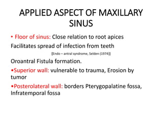 APPLIED ASPECT OF MAXILLARY
SINUS
• Floor of sinus: Close relation to root apices
Facilitates spread of infection from teeth
[Endo – antral syndrome, Selden (1974)]
Oroantral Fistula formation.
•Superior wall: vulnerable to trauma, Erosion by
tumor
•Posterolateral wall: borders Pterygopalatine fossa,
Infratemporal fossa
 