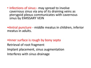 • Infections of sinus:- may spread to involve
cavernous sinus via any of its draining veins as
pterygoid plexus communicates with cavernous
sinus by EMISSARY VEIN
•Antral puncture - middle meatus in children, inferior
meatus in adults.
•Inner surface is rough by bony septa
Retrieval of root fragment
Implant placement, sinus augmentation
Interferes with sinus drainage
 