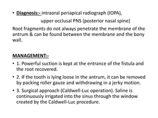 • Diagnosis:- intraoral periapical radiograph (IOPA),
upper occlusal PNS (posterior nasal spine)
Root fragments do not always penetrate the membrane of the
antrum & can be found between the membrane and the bony
wall.
MANAGEMENT:-
• 1. Powerful suction is kept at the entrance of the fistula and
the root recovered.
• 2. If the tooth is lying loose in the antrum, it can be removed
by packing roller gauze and withdrawing in a jerky motion.
• 3. Surgical approach (Caldwell-Luc operation). Saline is
continuously irrigated into the sinus through the window
created by the Caldwell-Luc procedure.
 