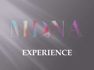 EXPERIENCE
 