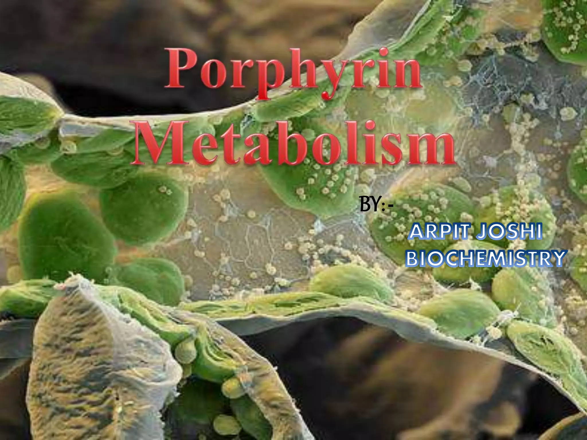 Porphyrin Metabolism | PPTX