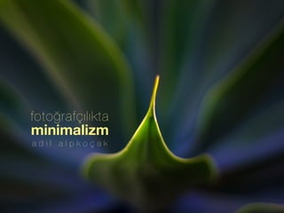fotoğrafçılıkta
Ocak 2015 Adil Alpkoçak
Minimalizm
a d i l a l p k o ç a k
minimalizm
fotoğrafçılıkta
 
