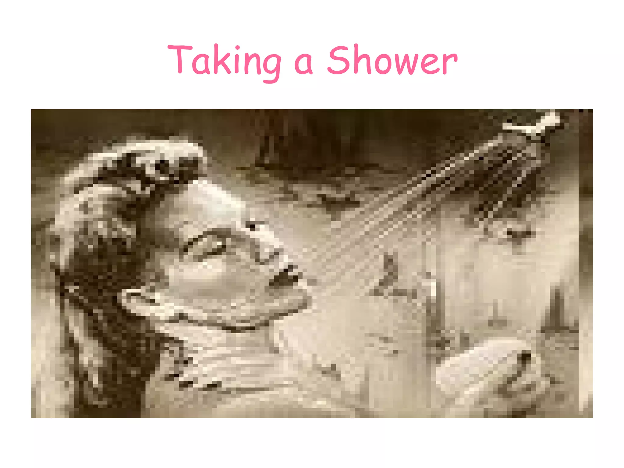 Taking a Shower 