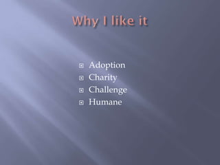 




Adoption
Charity
Challenge
Humane

 