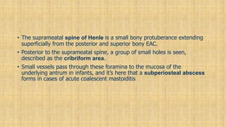 • The suprameatal spine of Henle is a small bony protuberance extending
superficially from the posterior and superior bony EAC.
• Posterior to the suprameatal spine, a group of small holes is seen,
described as the cribriform area.
• Small vessels pass through these foramina to the mucosa of the
underlying antrum in infants, and it’s here that a subperiosteal abscess
forms in cases of acute coalescent mastoiditis
 