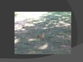 My msu pictures marissa