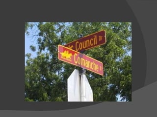 My msu pictures marissa