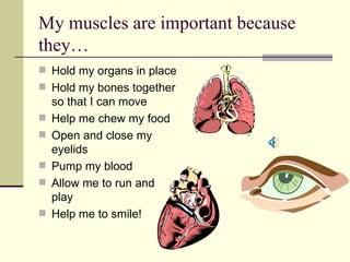 My muscles are important because they… Hold my organs in place Hold my bones together so that I can move Help me chew my food Open and close my eyelids Pump my blood Allow me to run and play Help me to smile! 