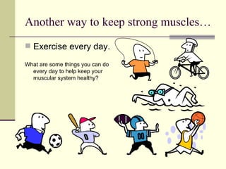 Another way to keep strong muscles… Exercise every day. What are some things you can do every day to help keep your muscular system healthy? 