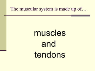 My Muscular System Powerpoint | PPT