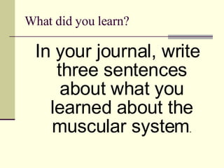What did you learn? <ul><li>In your journal, write three sentences about what you learned about the muscular system . </li...