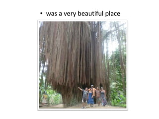 ? was a very beautiful place
 